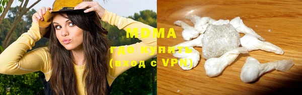крисы Бородино