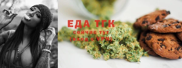 крисы Бородино