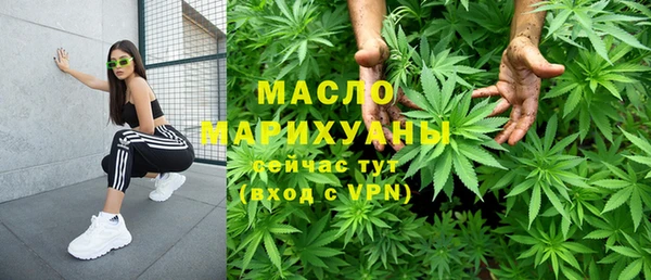 крисы Бородино