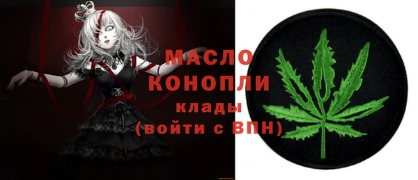 крисы Бородино