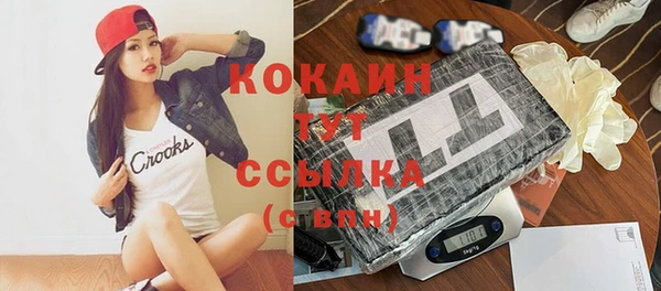 крисы Бородино