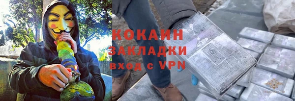 крисы Бородино