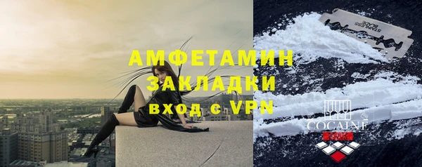 крисы Бородино