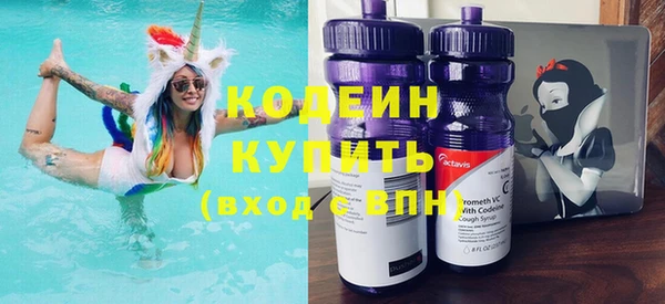 крисы Бородино