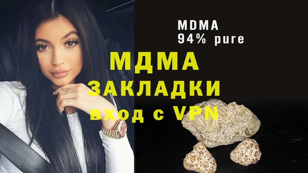 крисы Бородино