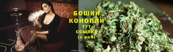 амф Бронницы