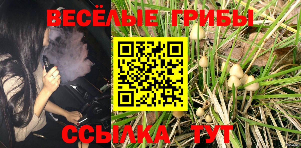 Галлюциногенные грибы MAGIC MUSHROOMS Люберцы